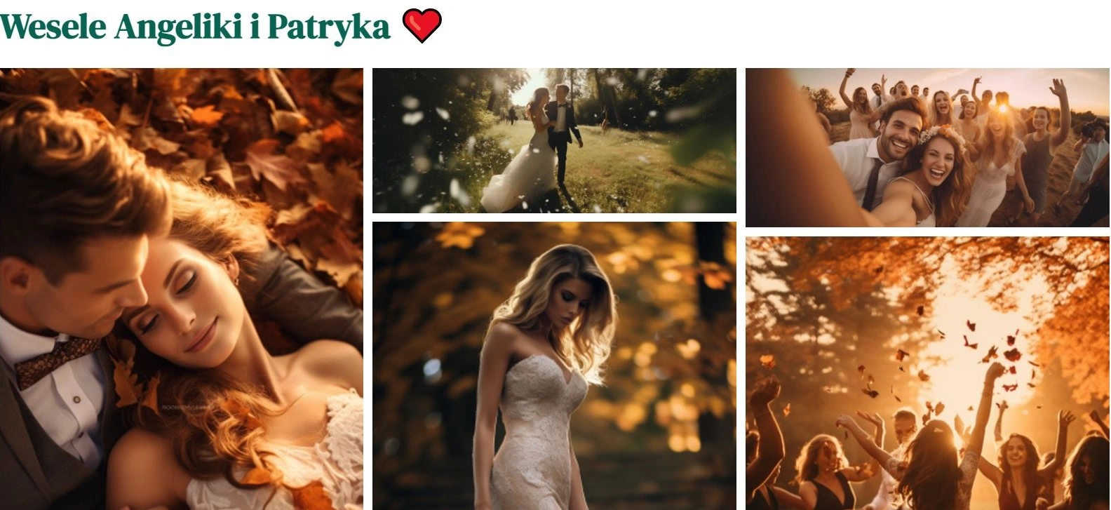 Beautiful digital online wedding photo gallery
